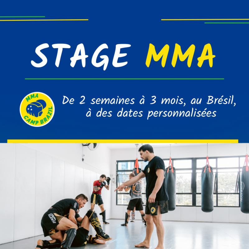 Stage MMA